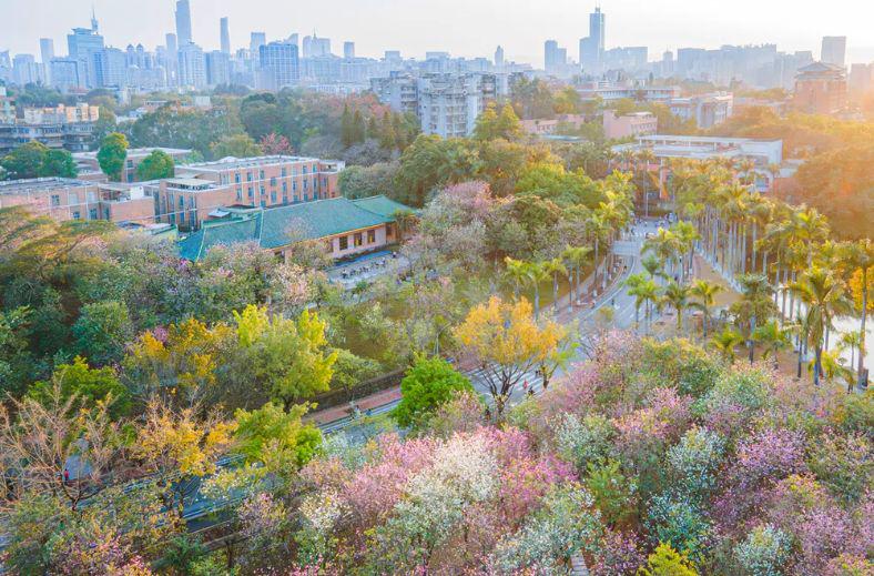 华南农业大学就业好不好？怎么样？当然好！官方认可，数据佐证-趣考网