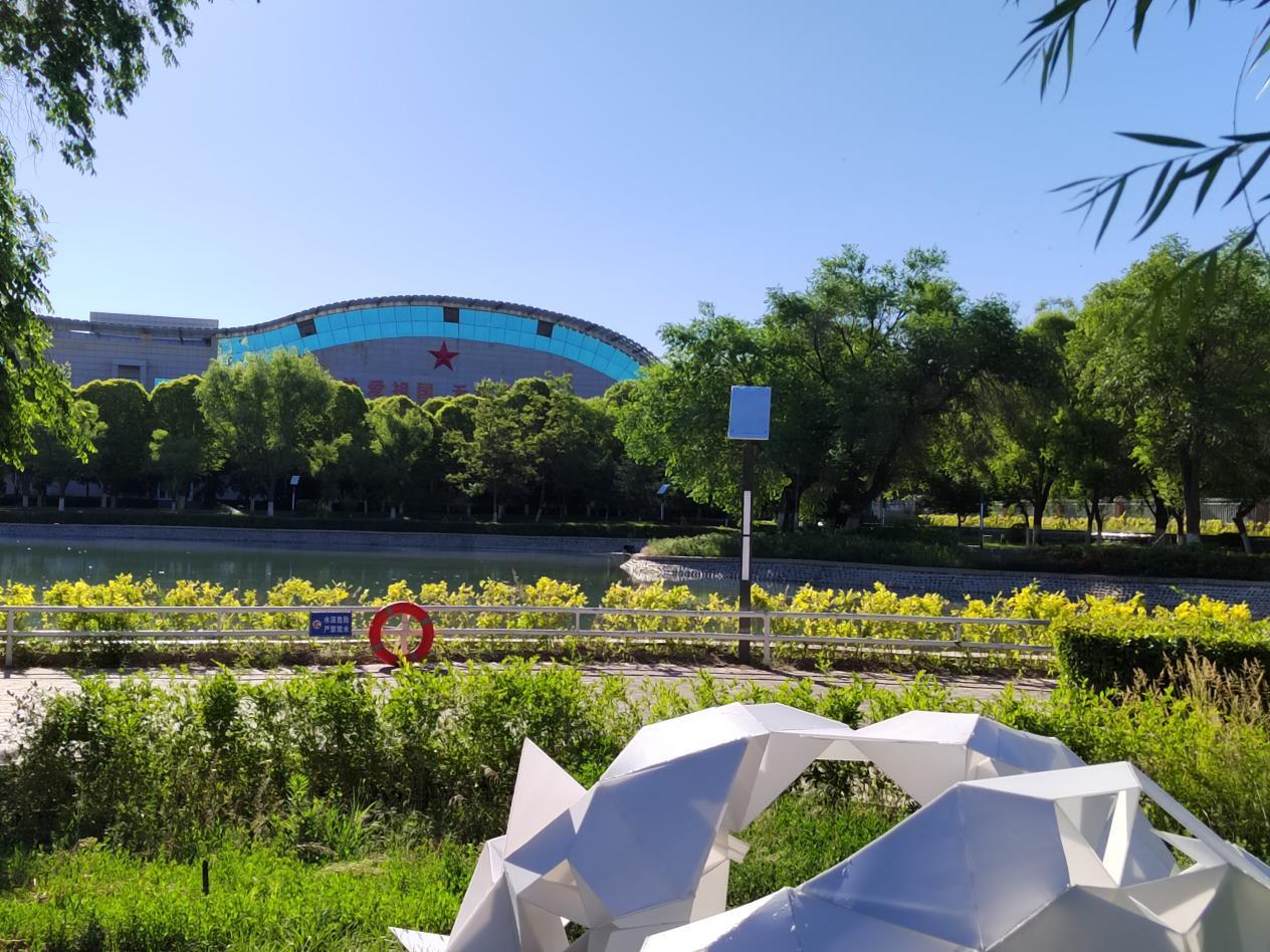 石河子大学怎么样?学费高不高?极具性价比,未来高回报!