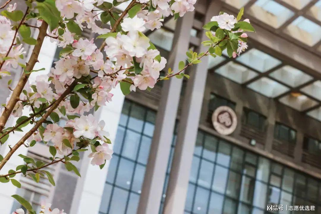 北京工商大学就业好不好？双选会岗位丰富，就业率持续超90%！