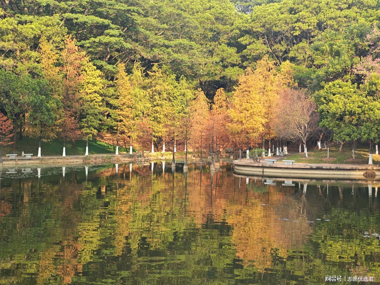 广东工业大学文科好不好?国家政策所向,“钱”途无量!