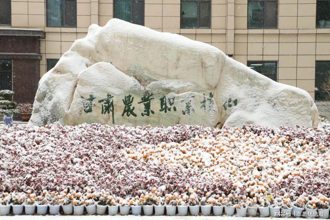 甘肃农业职业技术学院就业怎么样?好不好?184家企业入校招聘!