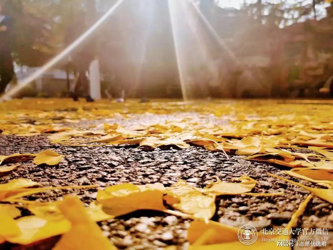 北京交通大学王牌专业怎么样?揭秘就业最好专业!