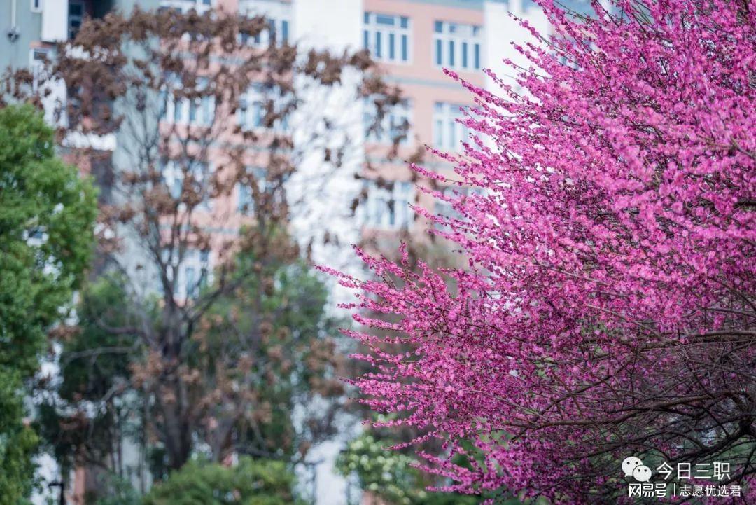 湖北三峡职业技术学院就业怎么样？暖心就业措施，助力高质量就业-趣考网