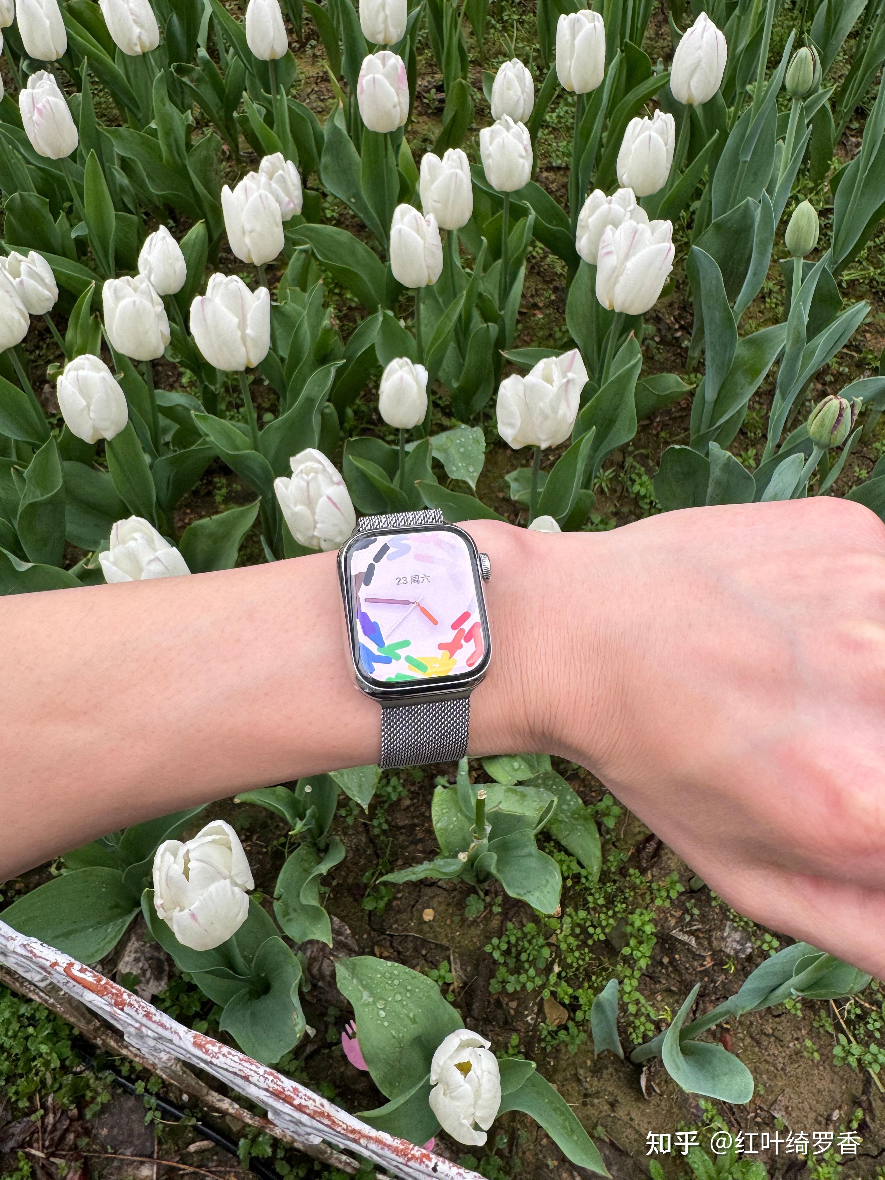 Apple Watch选择41/42毫米还是45/46毫米?哪个更合适?