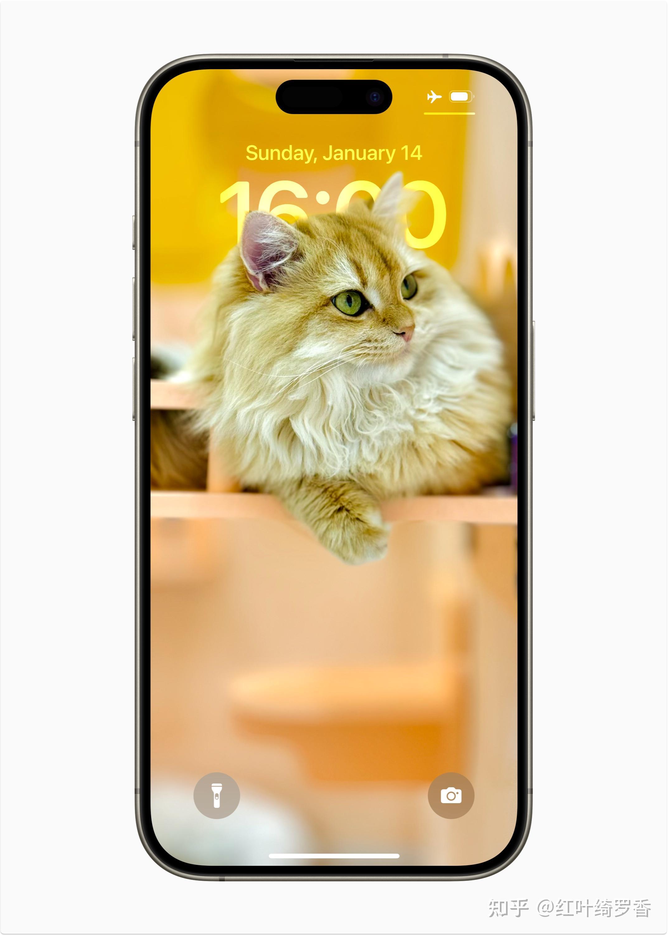 如何选择适合自己的苹果手机?各配置具体分析不同型号iphone