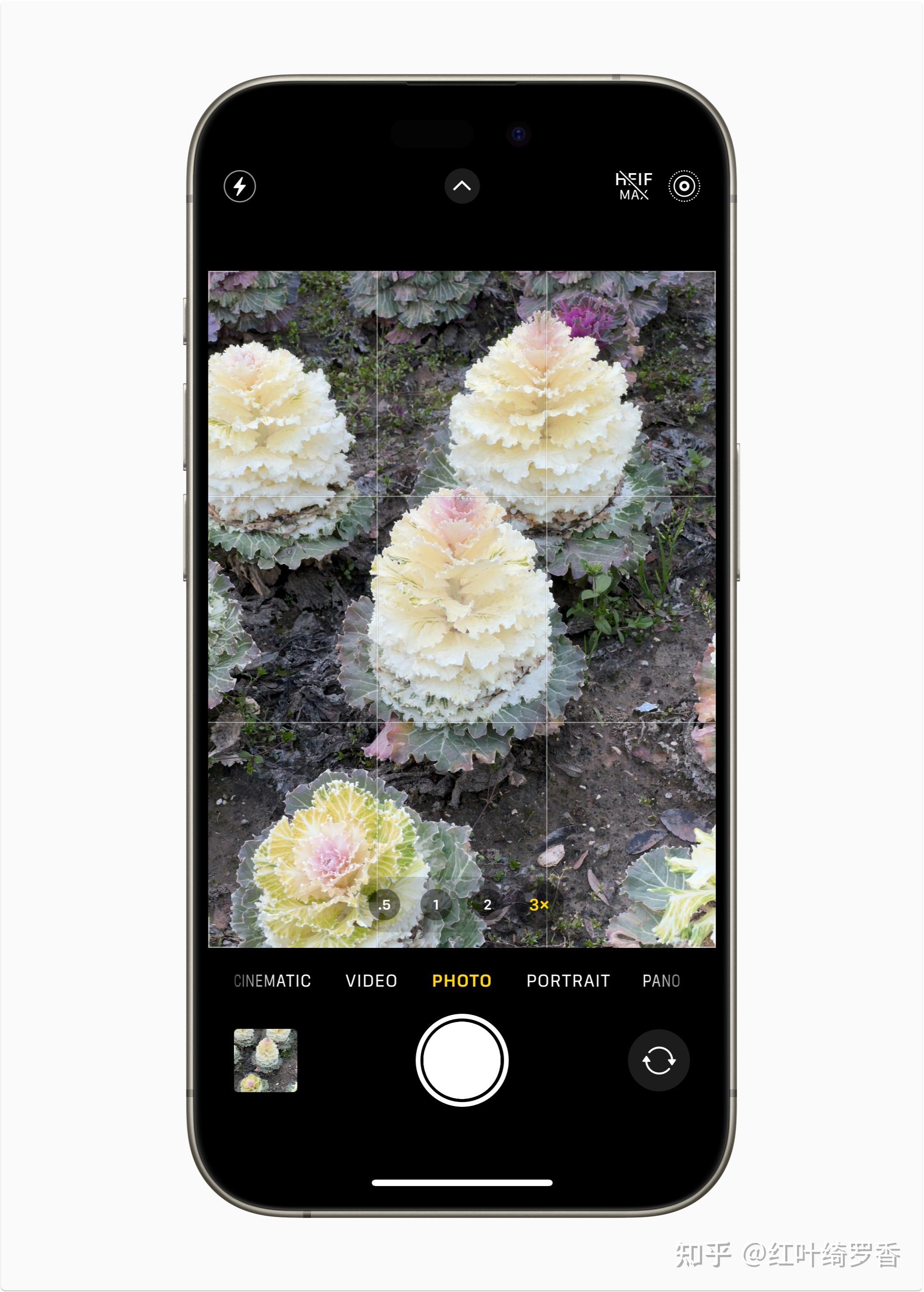 如何选择适合自己的苹果手机?各配置具体分析不同型号iphone
