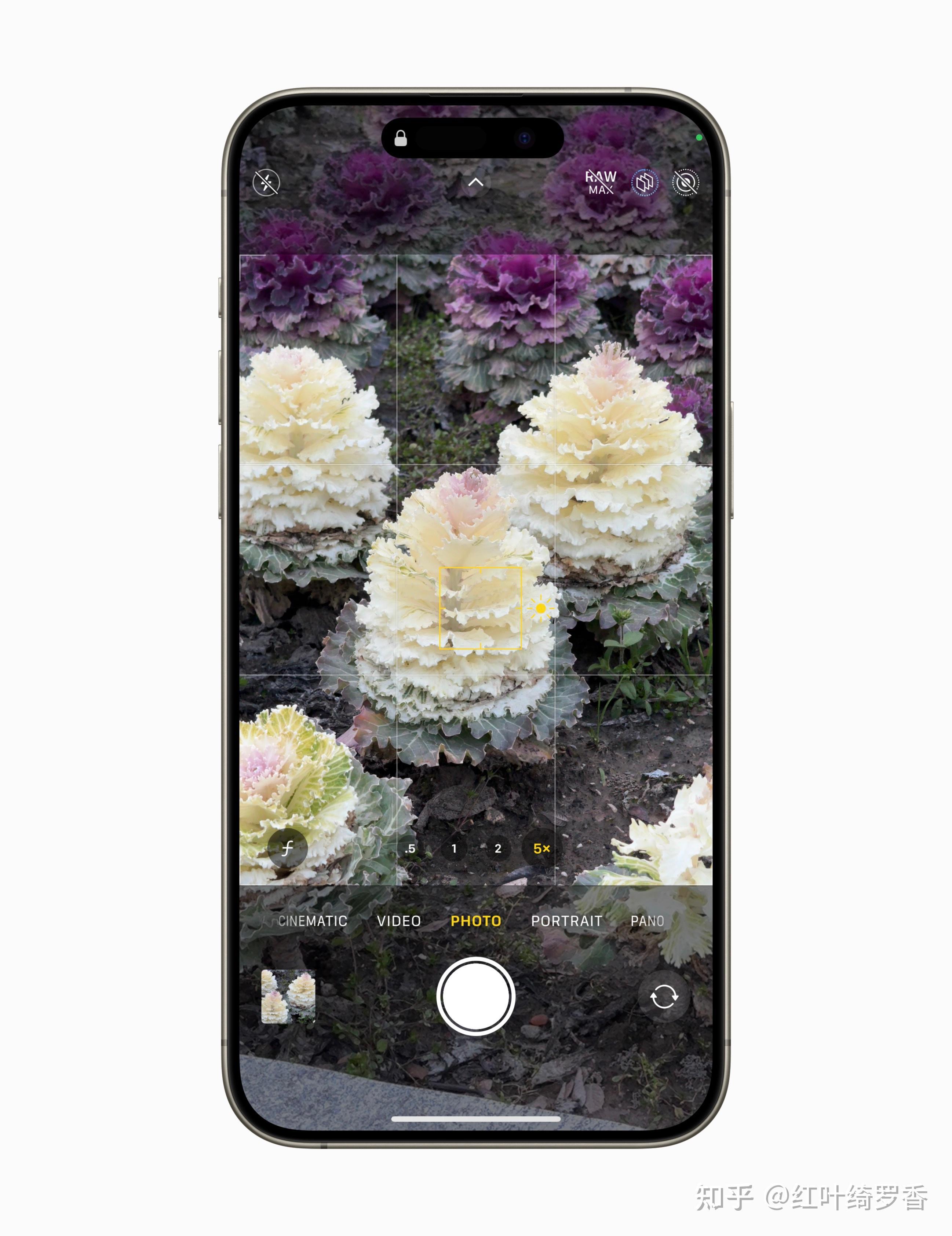 如何选择适合自己的苹果手机?各配置具体分析不同型号iphone