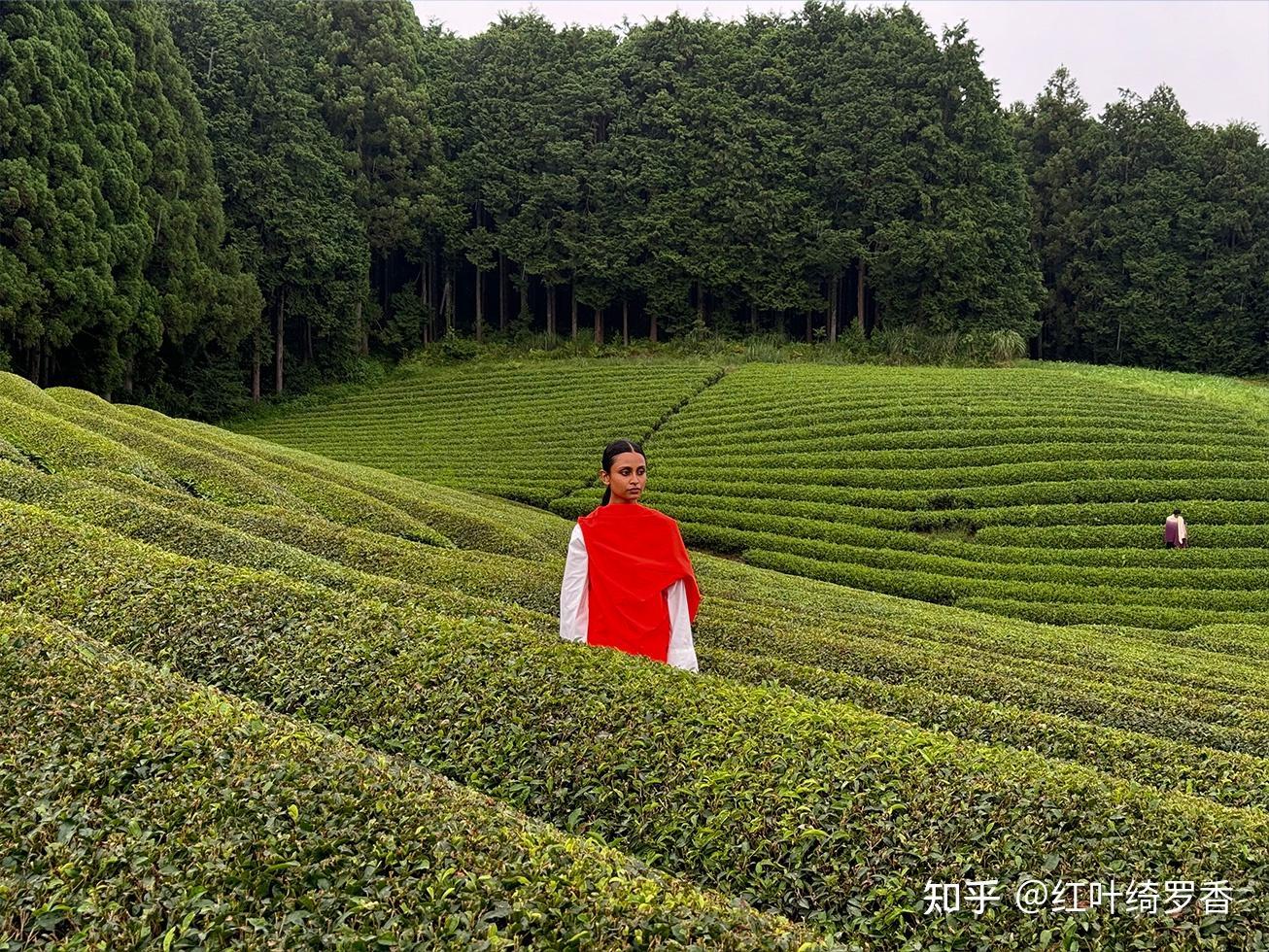 iPhone 15 Pro到底有哪些升级？值得买吗？2024年iPhone 15系列购买攻略。