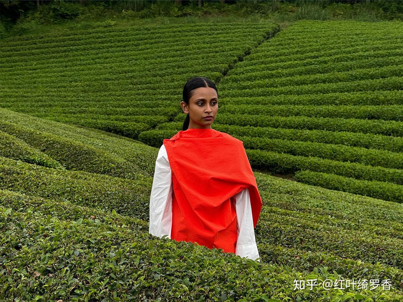 iPhone 15 Pro到底有哪些升级？值得买吗？2024年iPhone 15系列购买攻略。