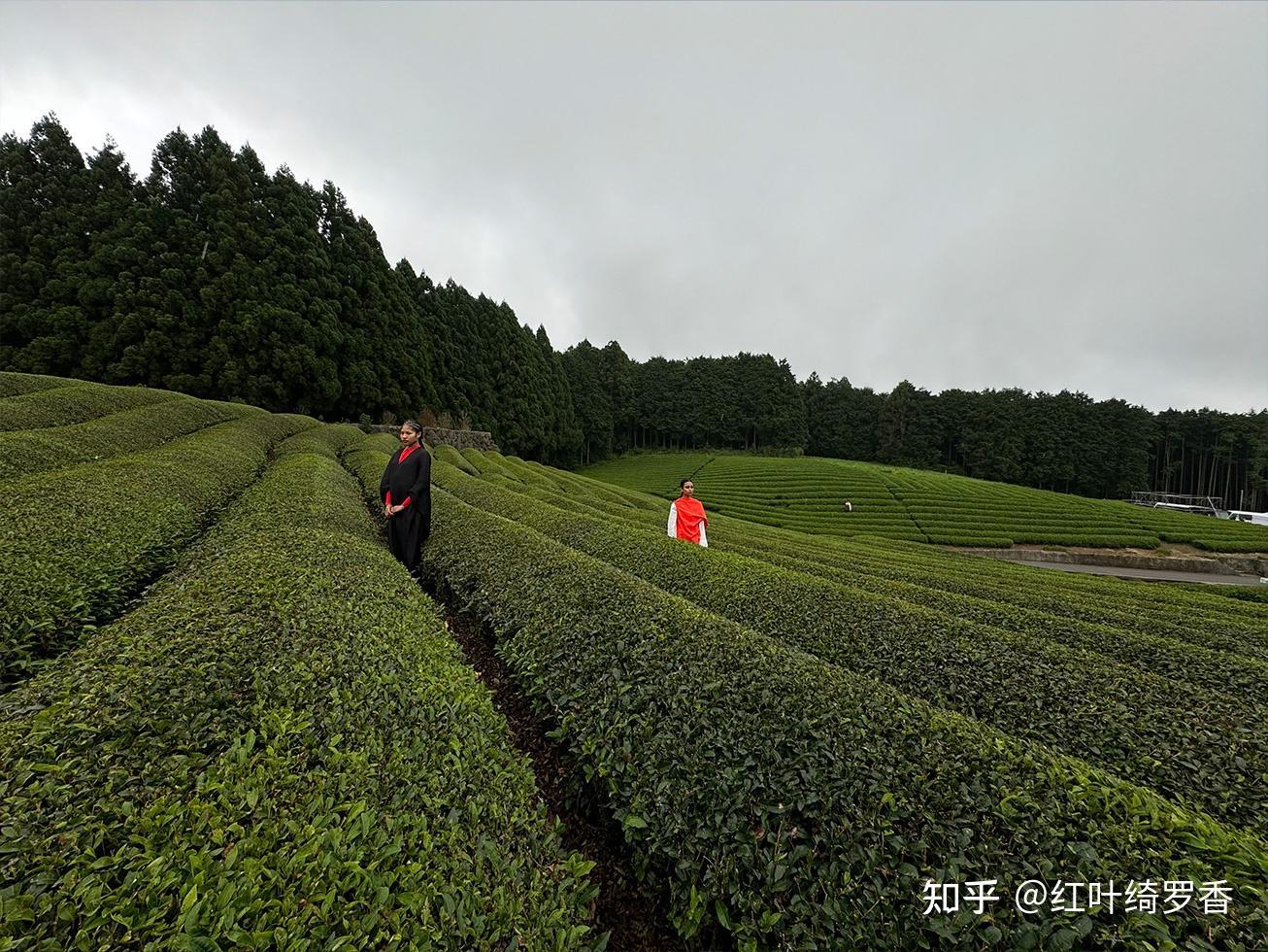 iPhone 15 Pro Max值得买吗?真的升级一般吗?