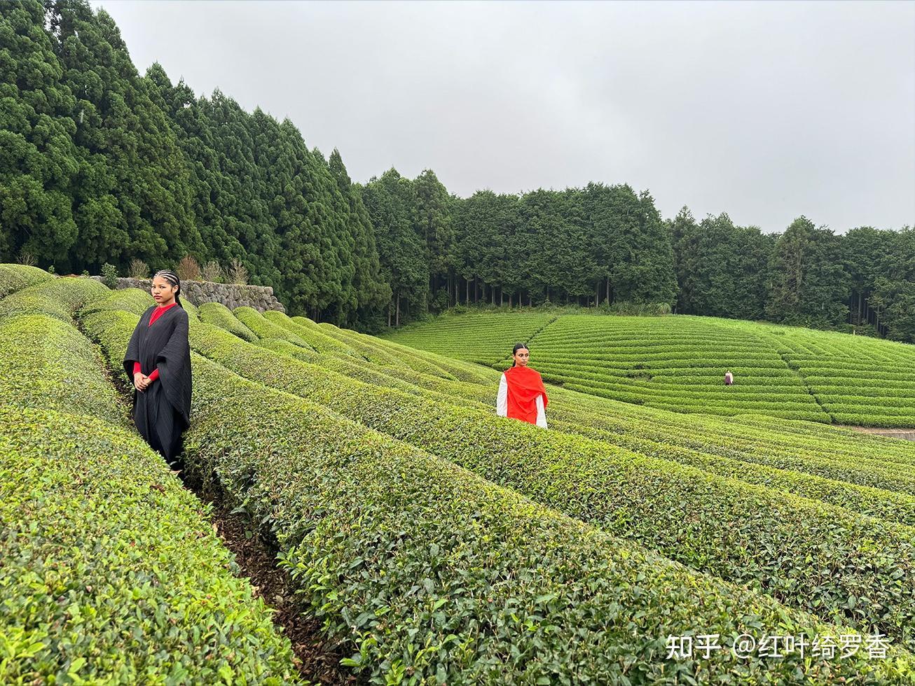 iPhone 15 Pro Max值得买吗?真的升级一般吗?