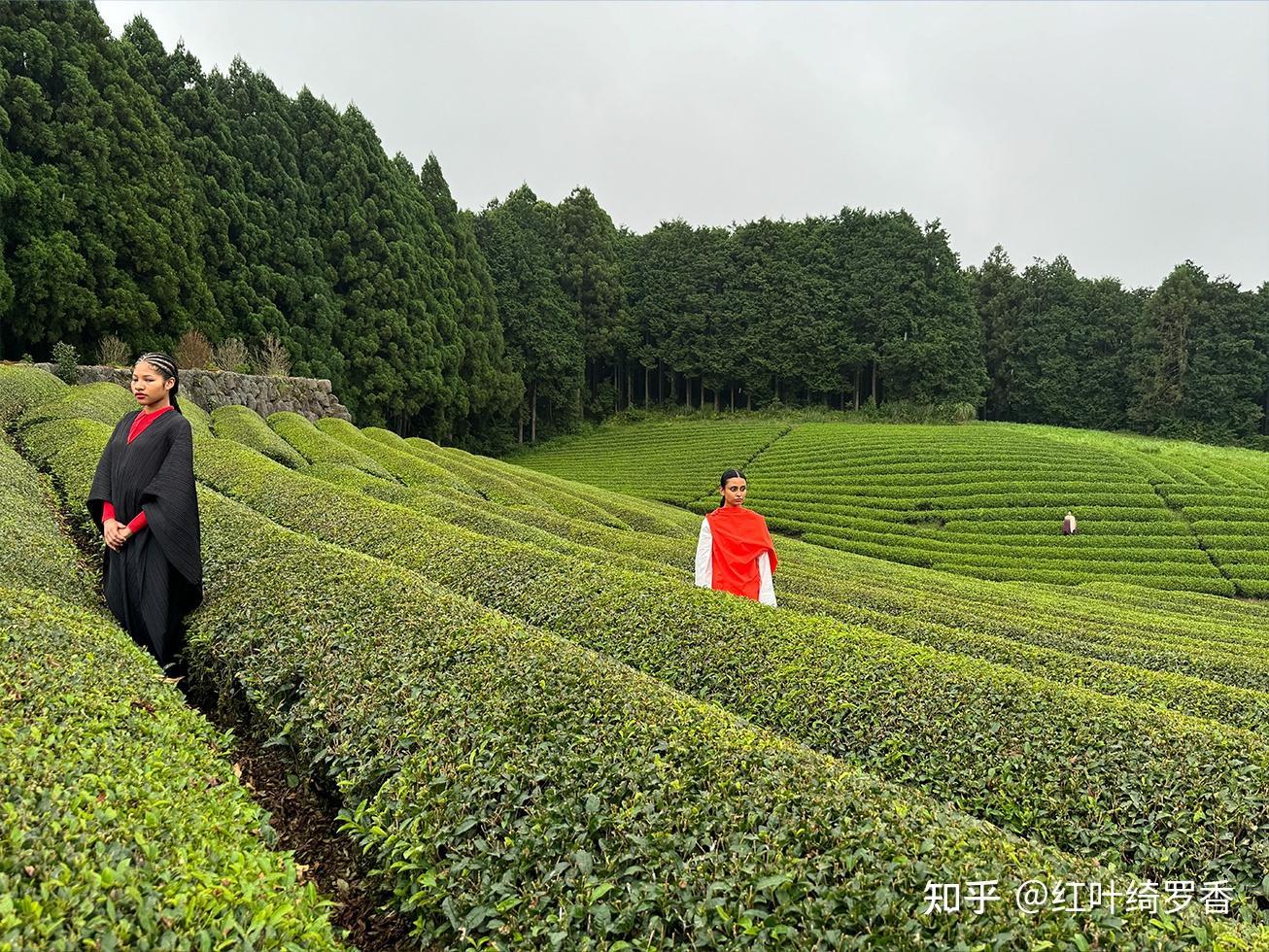 iPhone 15 Pro Max值得买吗?真的升级一般吗?