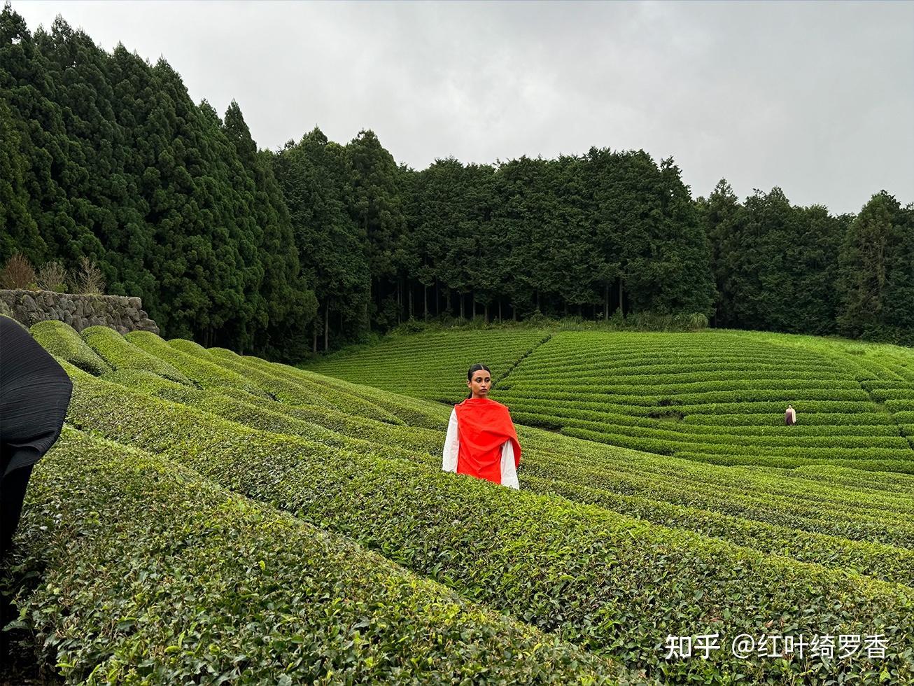 iPhone 15 Pro Max值得买吗?真的升级一般吗?