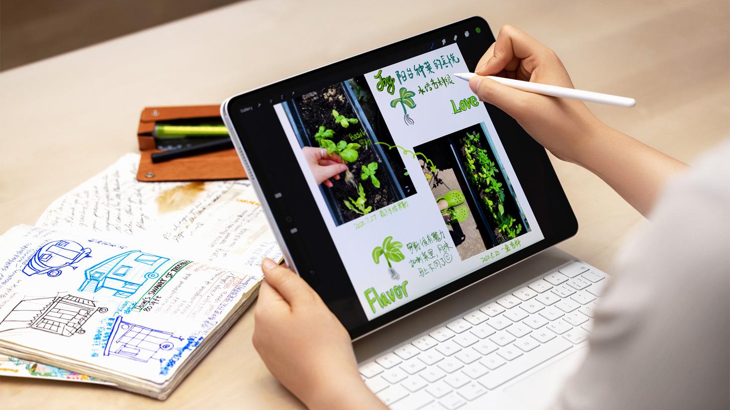 2025年iPad购买攻略,超详细解读不同型号到底有什么区别?