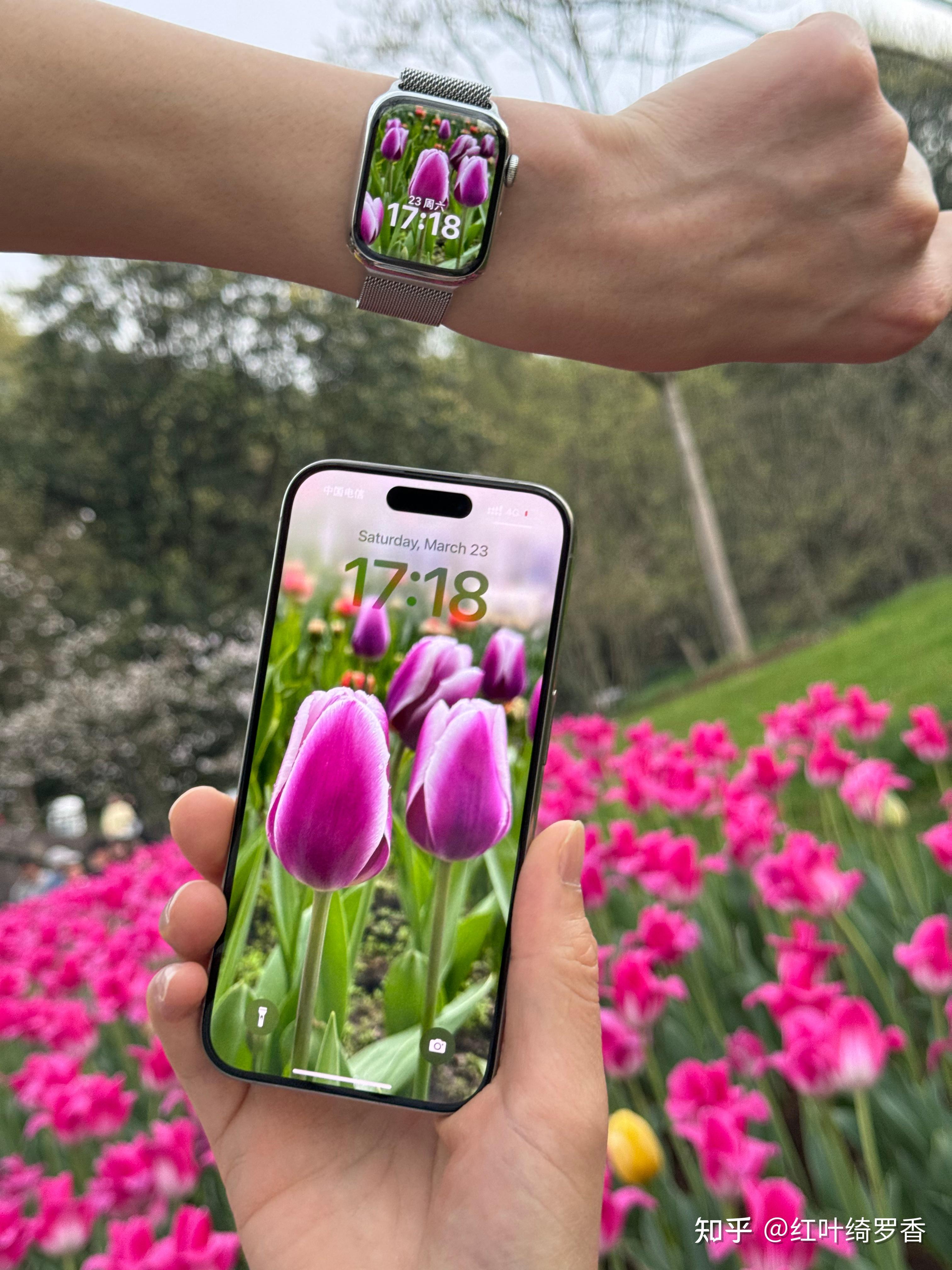 2025年苹果手表 Apple Watch选购攻略,如何一次性选到最合适的智能手表。