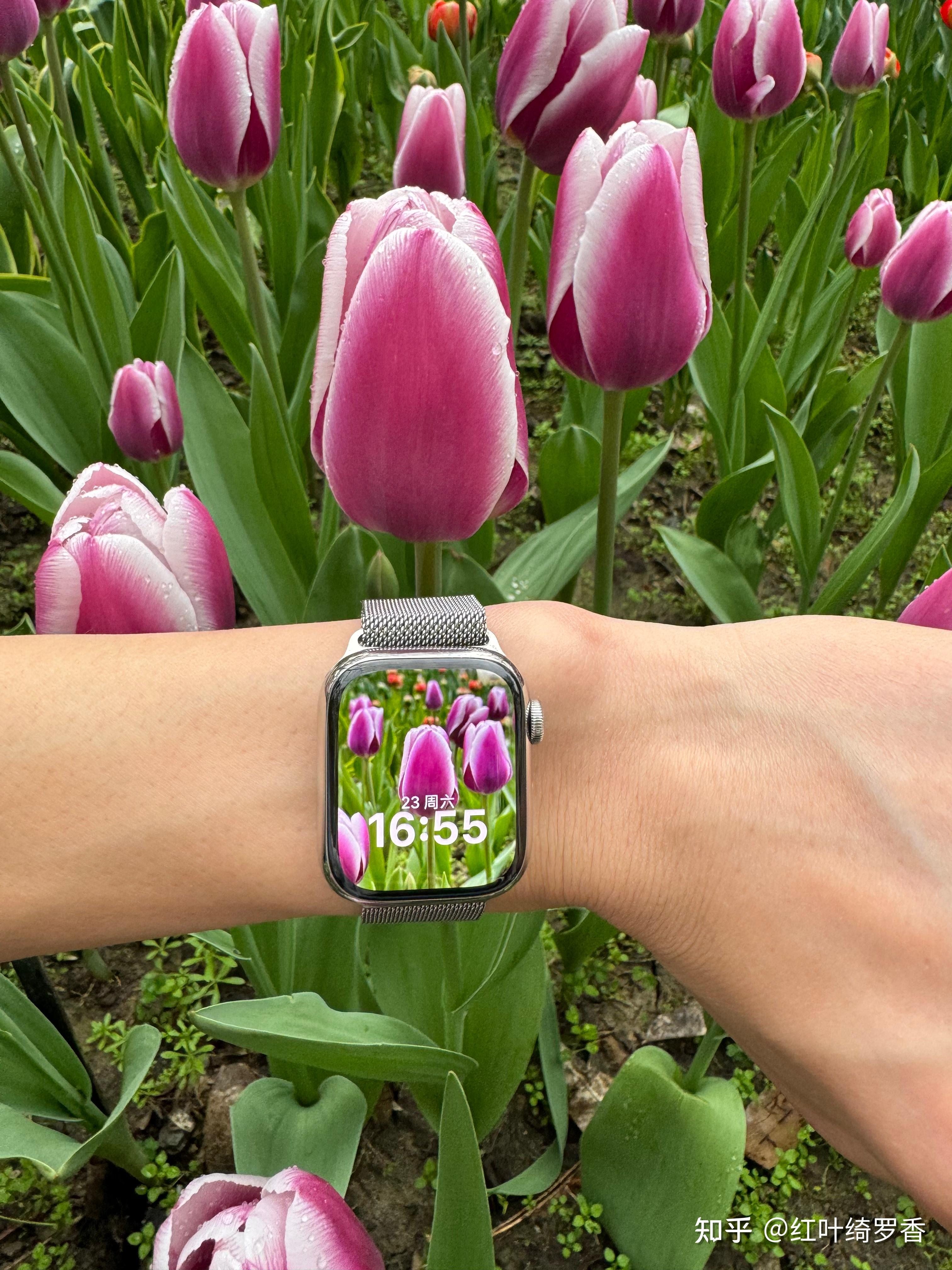 如何正确选择适合自己的Apple Watch?