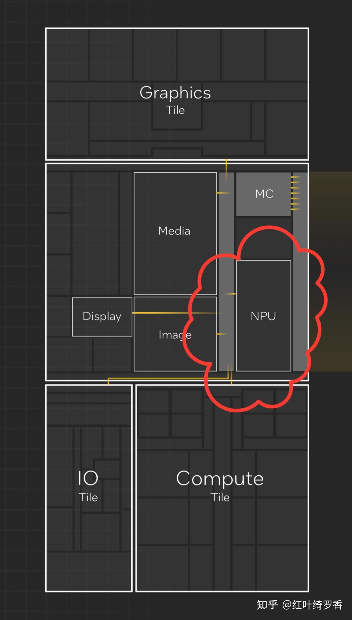 2024年电脑显卡入门指南，选择电脑的时候如何正确选择显卡？