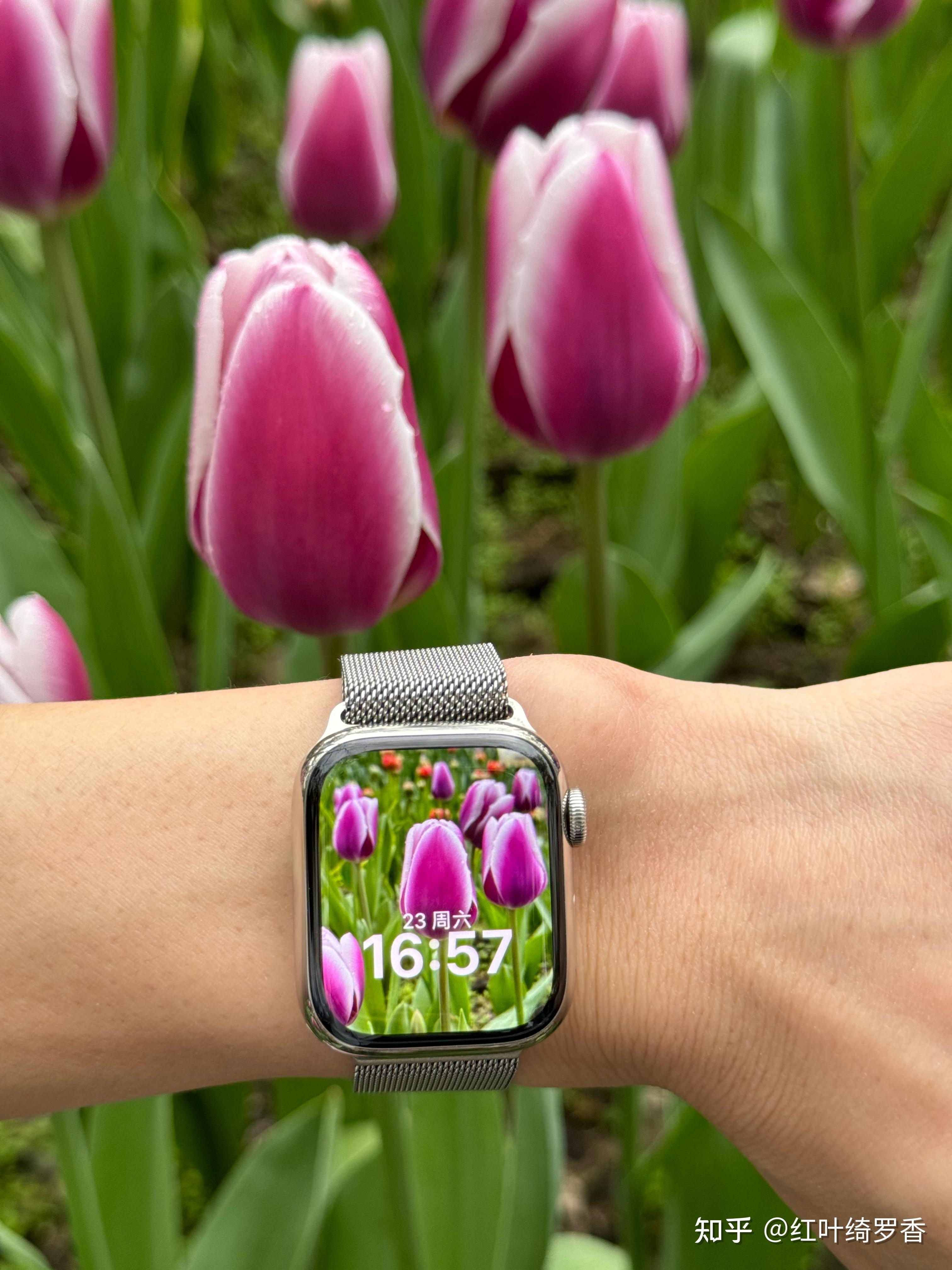 iPhone 15 Pro Max到底有什么优势?