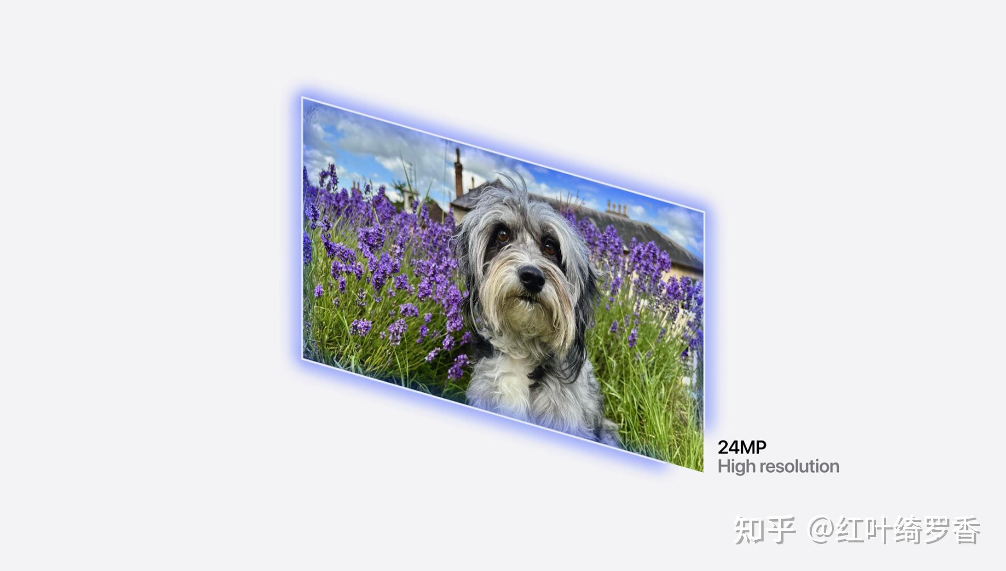 iPhone 16和iPhone 16 Plus到底升级了什么？全新功能深度剖析。