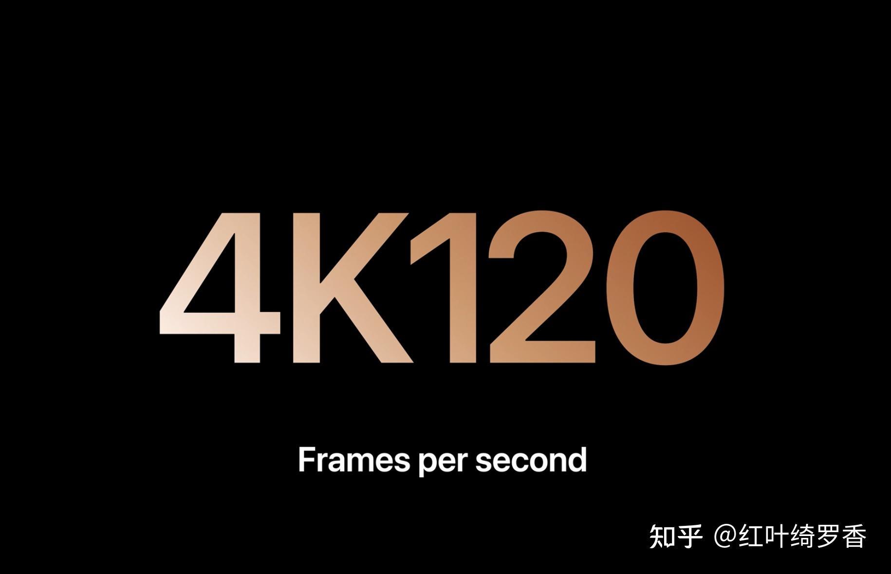 iPhone 16和iPhone 16 Pro硬核对比!