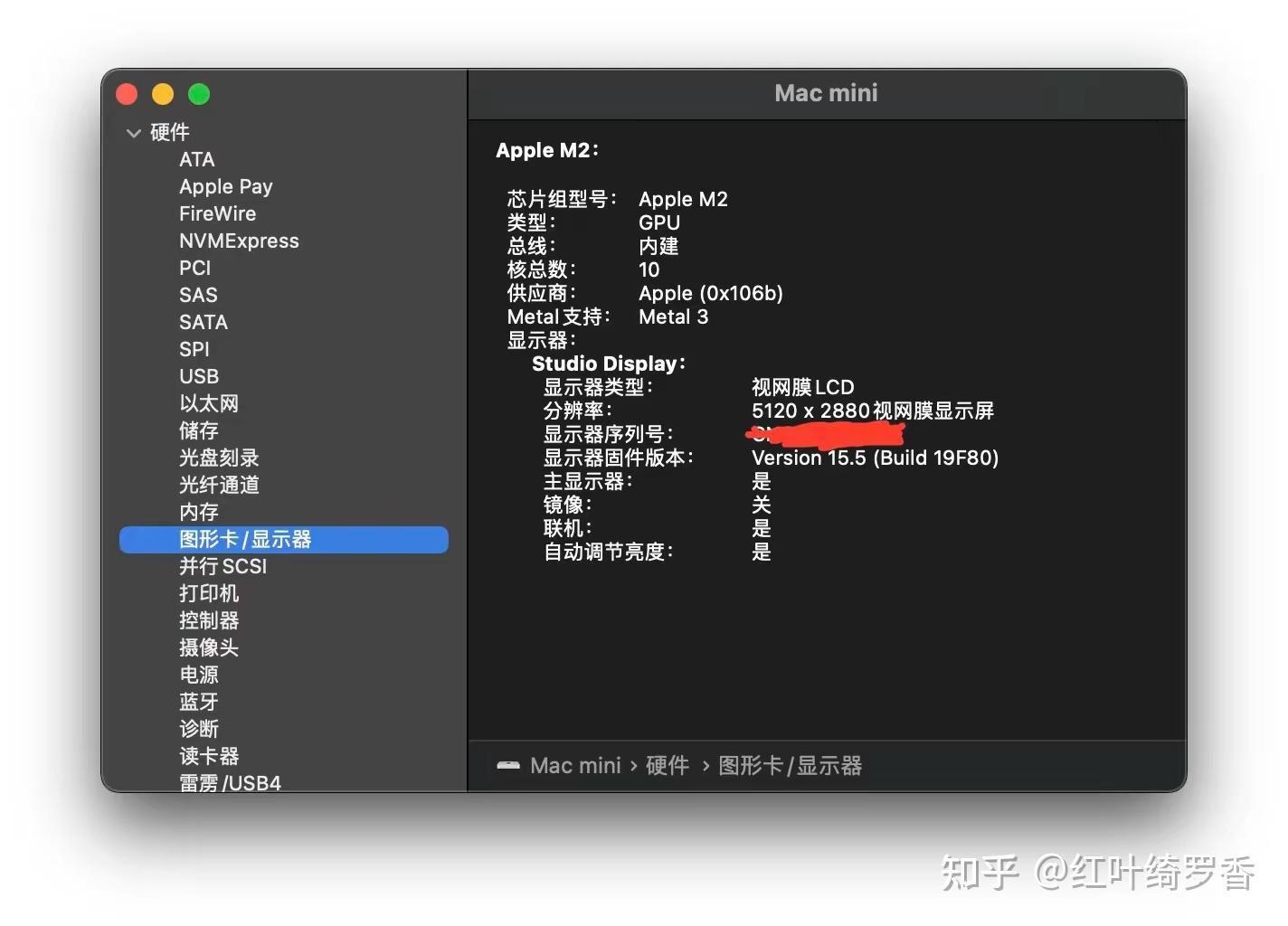 2024款Mac mini M4选购指南。芯片、内存、存储、显示器等选择策略一应俱全。