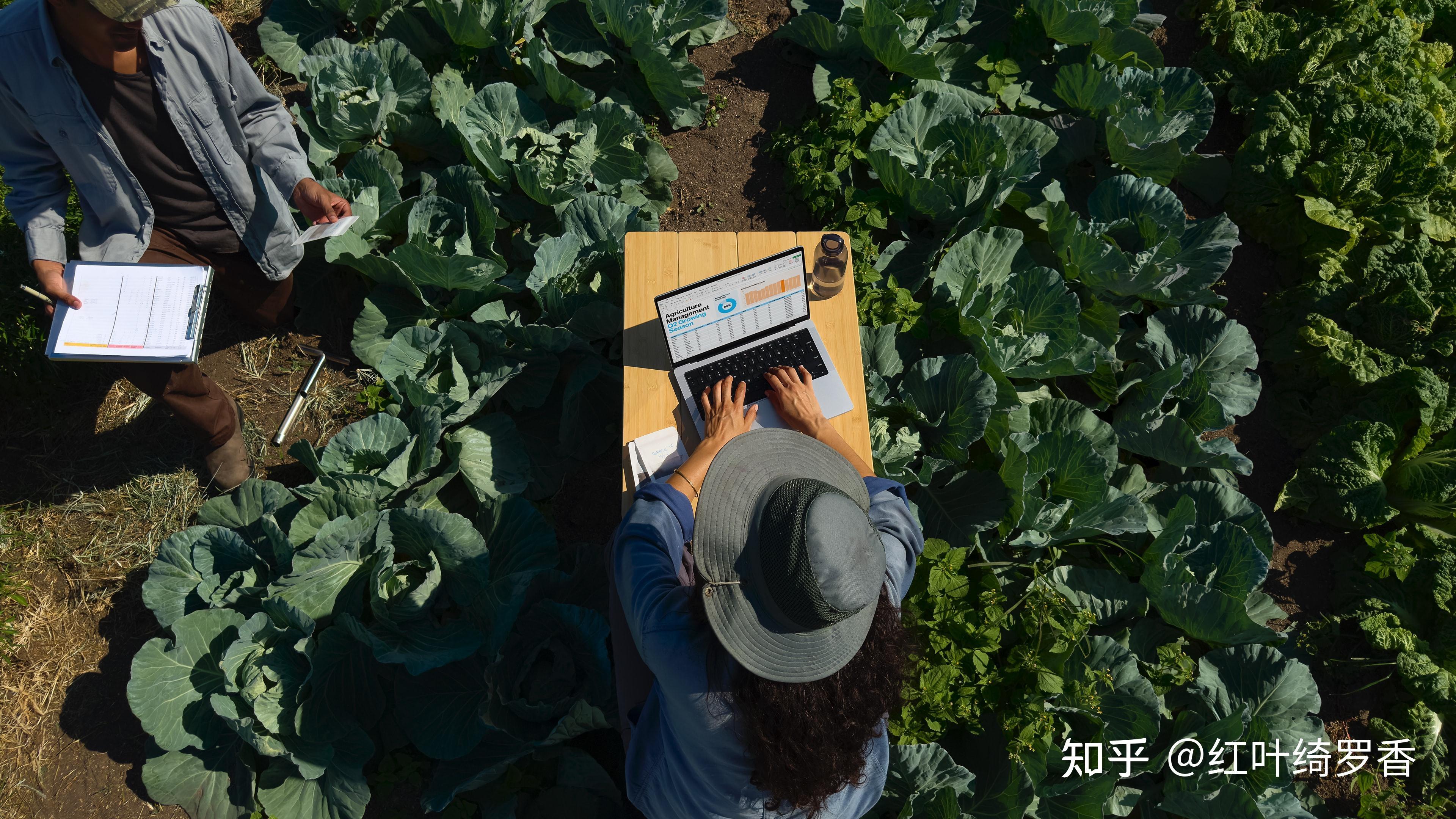 MacBook Pro M4系列选购指南。芯片、内存、存储等选择策略一应俱全。