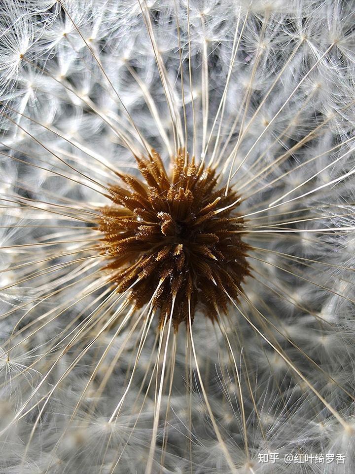 三星S25系列有哪些升级?值得入手吗?