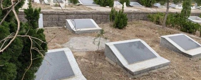 从墓地回家有什么禁忌 上坟回家不能带墓地内物品-图1
