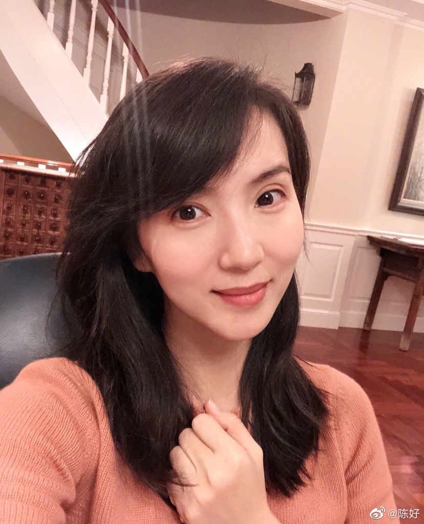 陈好老公的个人简介图片 现在状况：陈好为什么退出演艺圈-图1