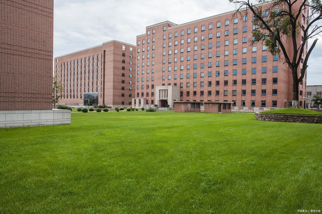 NEFU：一个充满活力的大学