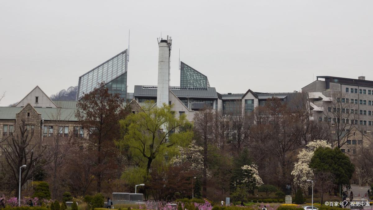 梨花女子大学相当于国内哪个大学？探究其与国内著名大学的差异