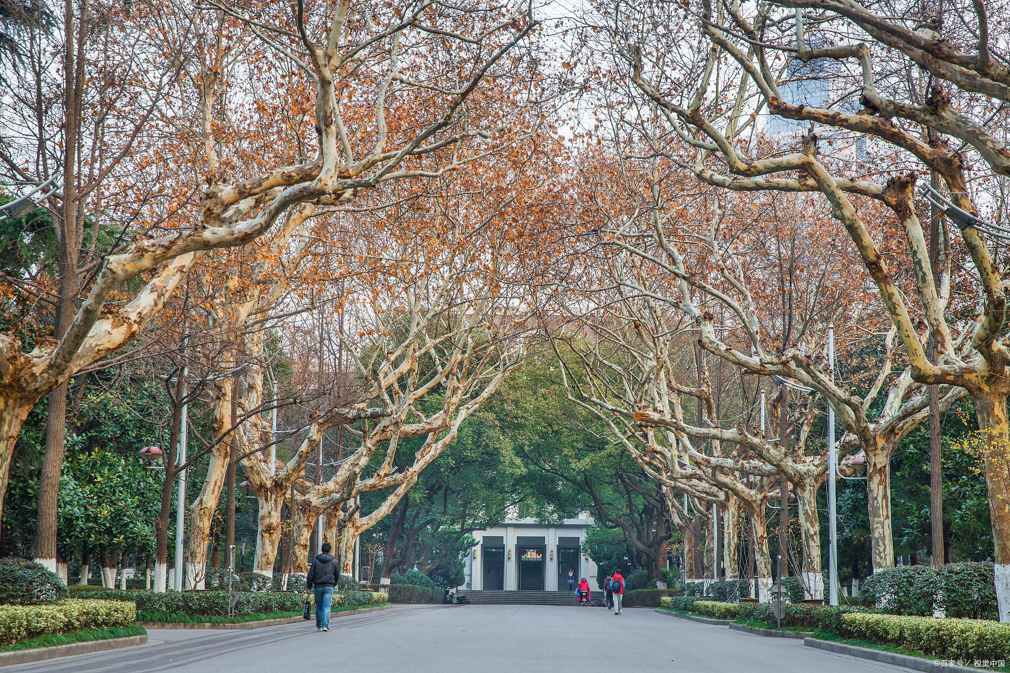 南京大学苏州校区:南京大学的新“特区”,还是“试验田”?