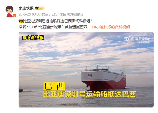 全球最大汽车运输船！比亚迪“深圳号”搭载7300台新车抵达巴西-图1