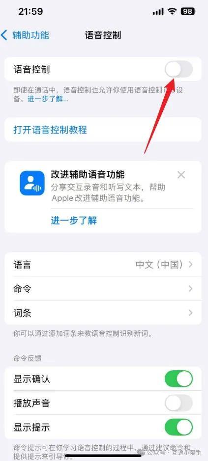 苹果手机语音控制怎么关闭