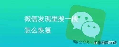 微信搜一搜不见了在哪里能找到