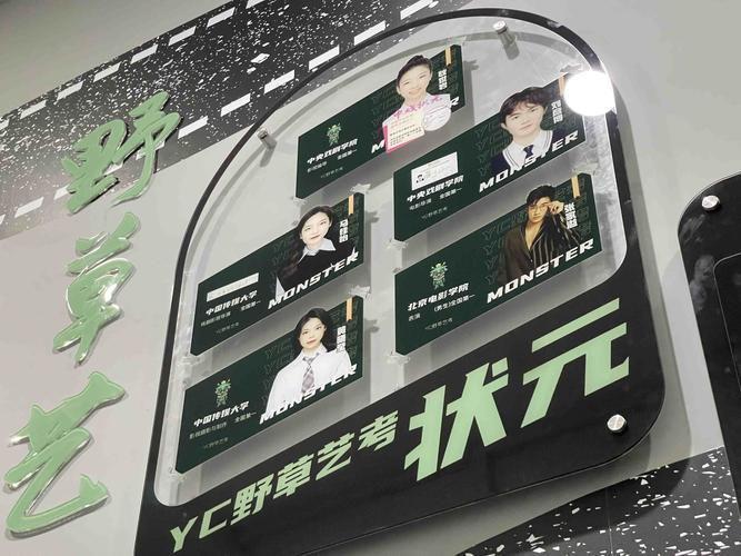 表导演艺考可以选什么专业？高就业率、小众专业选择，报考指南！-图3