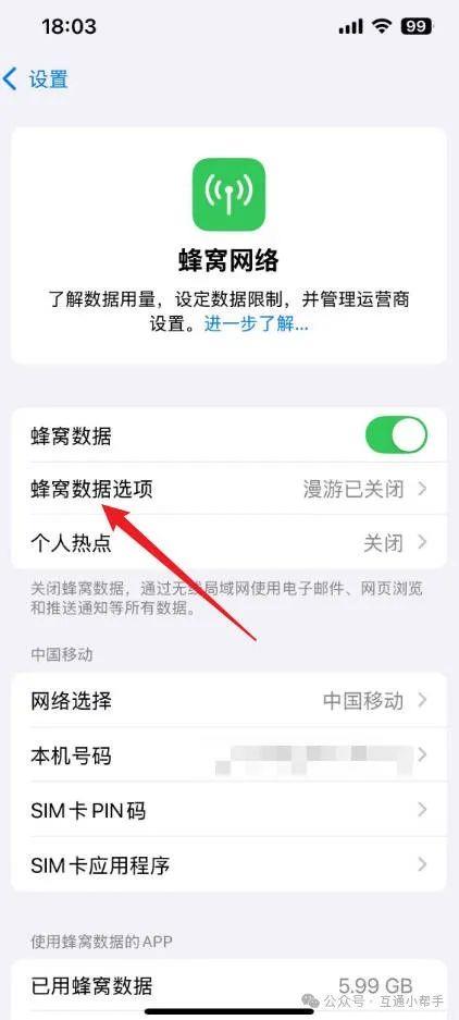 苹果手机漫游设置哪里打开