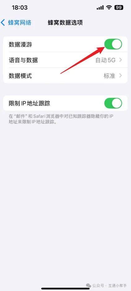 苹果手机漫游设置哪里打开