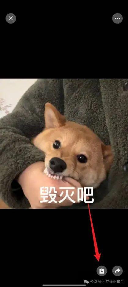 微信表情怎么保存到手机相册