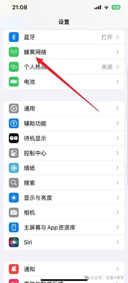 苹果手机漫游在哪里打开