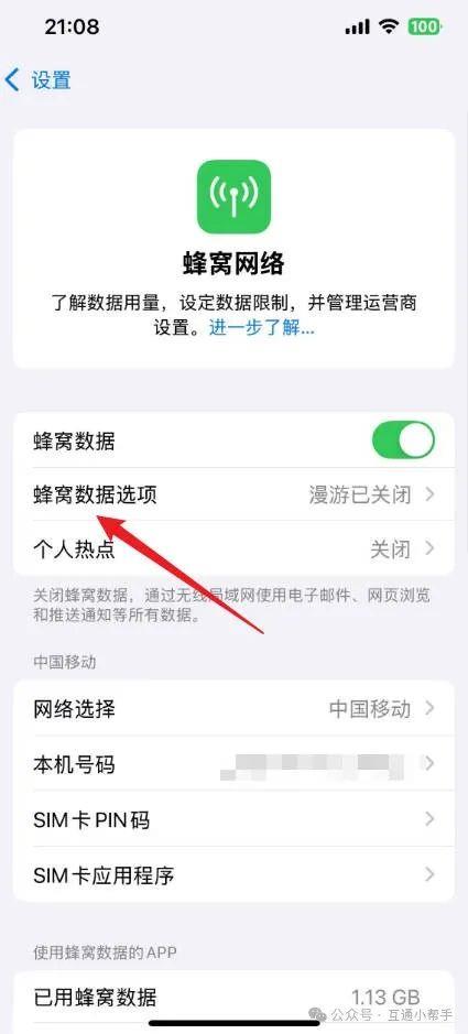 苹果手机漫游在哪里打开