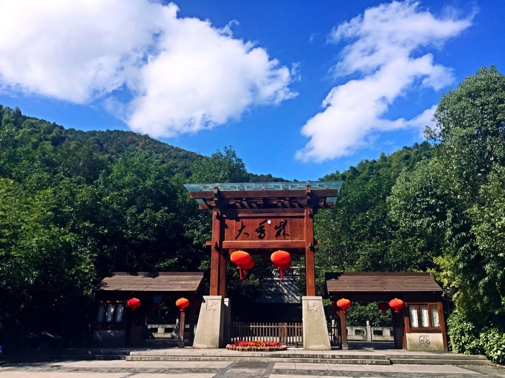 大香林风景区旅游攻略：被誉为“中国最大古桂群”