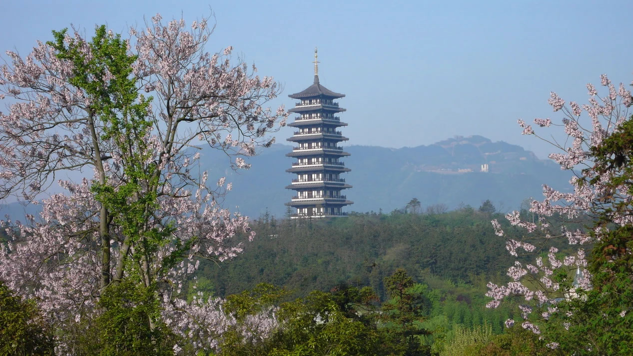 龙背山森林公园旅游攻略：沪、宁、杭最大的城区生态公园
