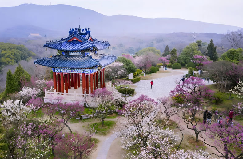 梅园横山风景区旅游攻略：江南著名的赏梅胜地