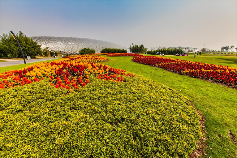 上海辰山植物园旅游攻略:观赏游览植物的好去处-图1 上海辰山植物园旅游攻略:观赏游览植物的好去处-图1