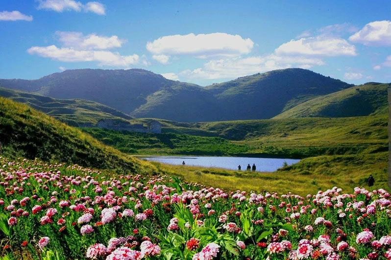 析城山旅游攻略：“太行屋脊”“华北天然植物园”