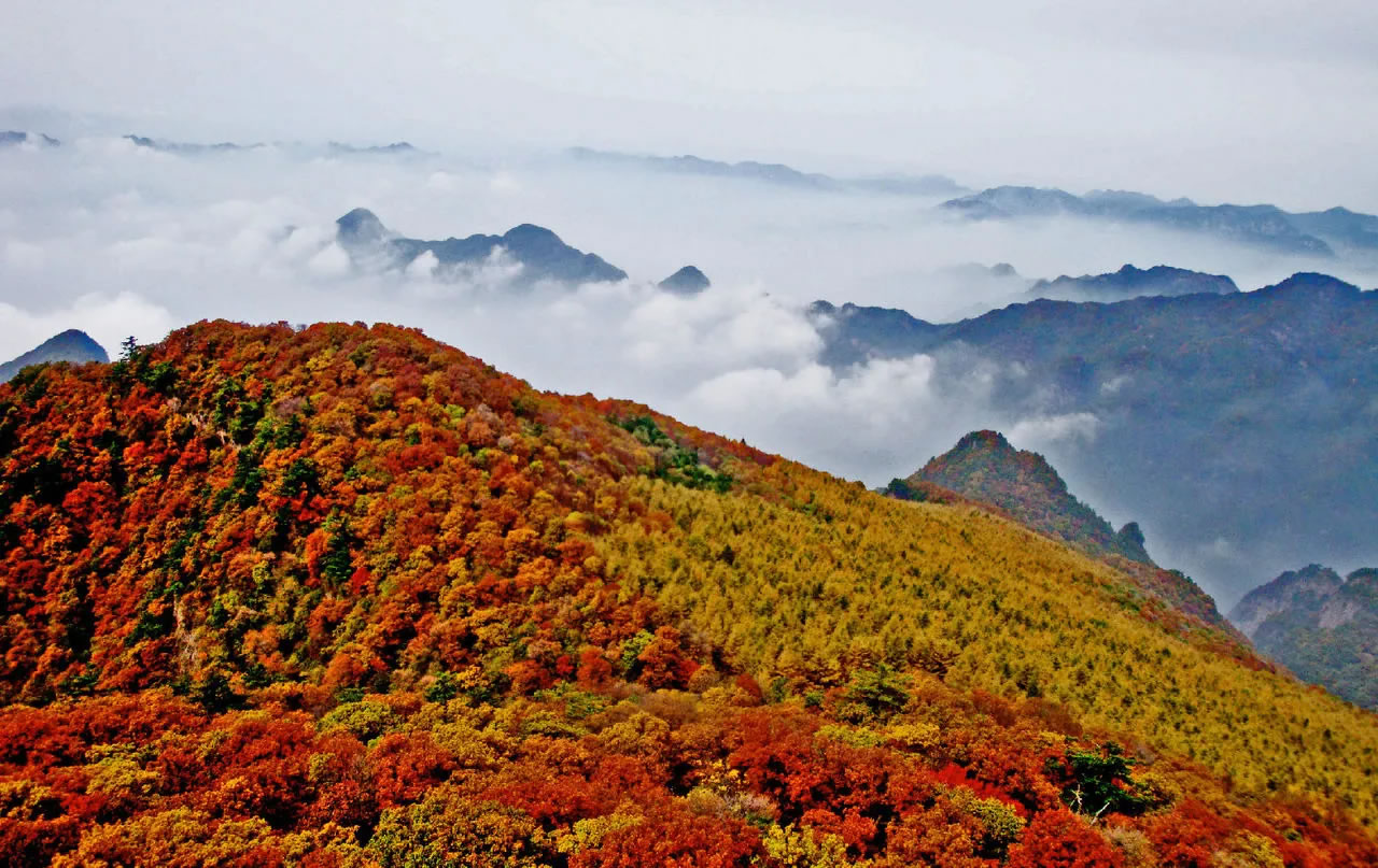 历山景区旅游攻略：以“华北绿肺”“中国天然氧吧”著称