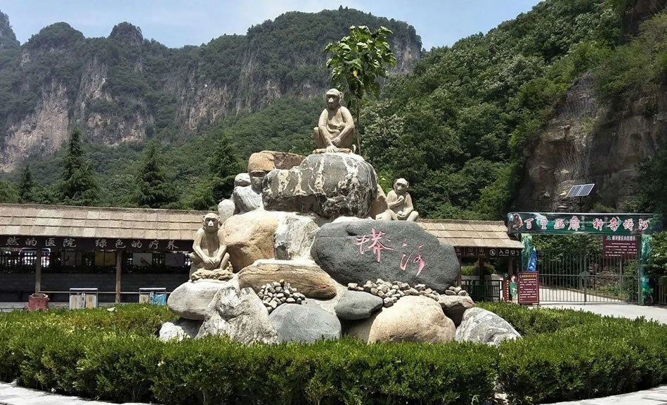 蟒河风景区旅游攻略：华北面积最大、保存最完好的原始森林