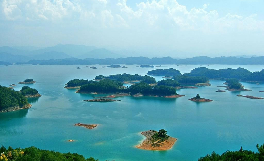 菩提岛旅游攻略：“孤悬于海上的天然动植物园”