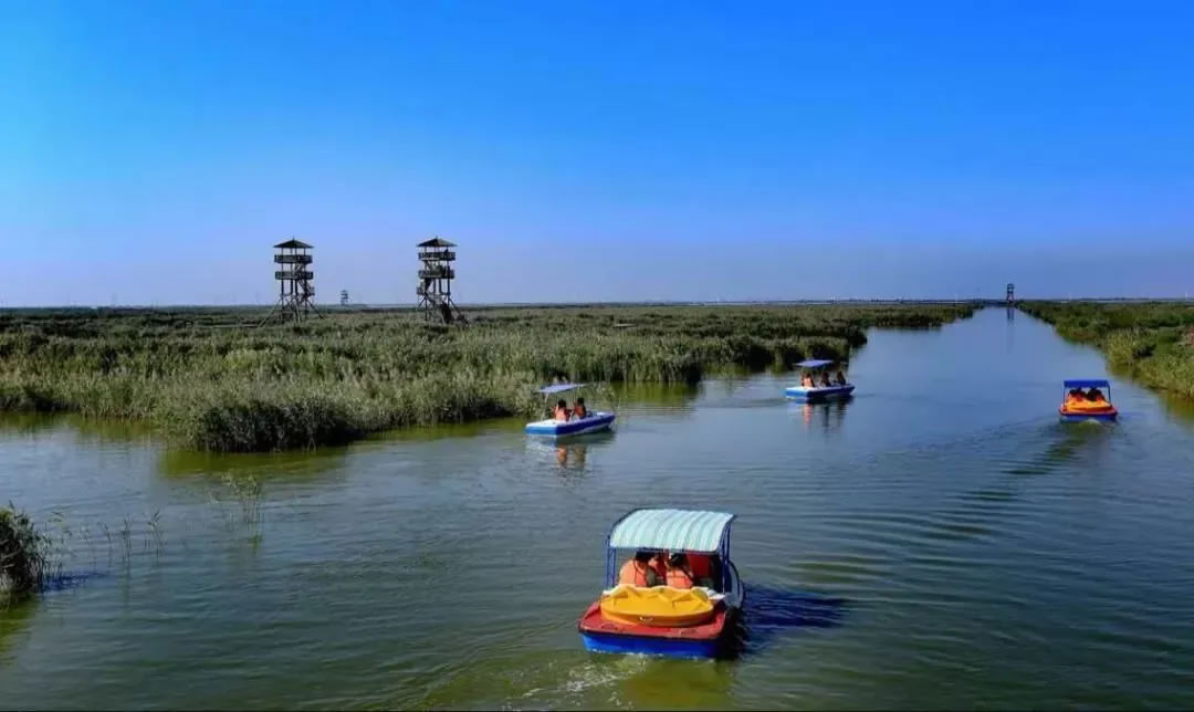 曹妃甸湿地景区旅游攻略：环渤海地区的一颗璀璨明珠